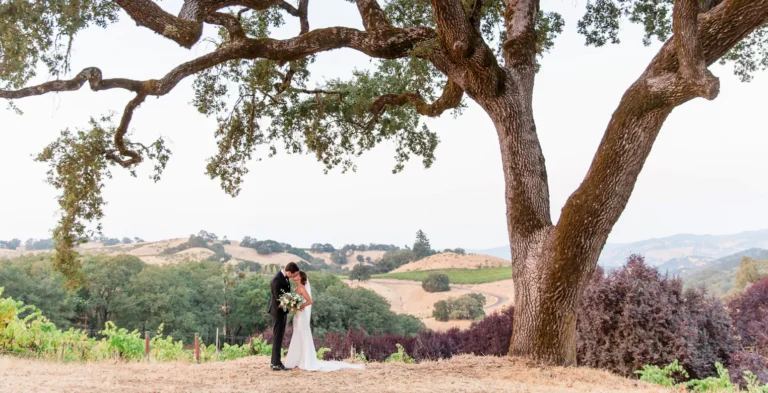 Bride and groom embracing beneath the estate's heritage oak, with vineyards and rolling hills behind