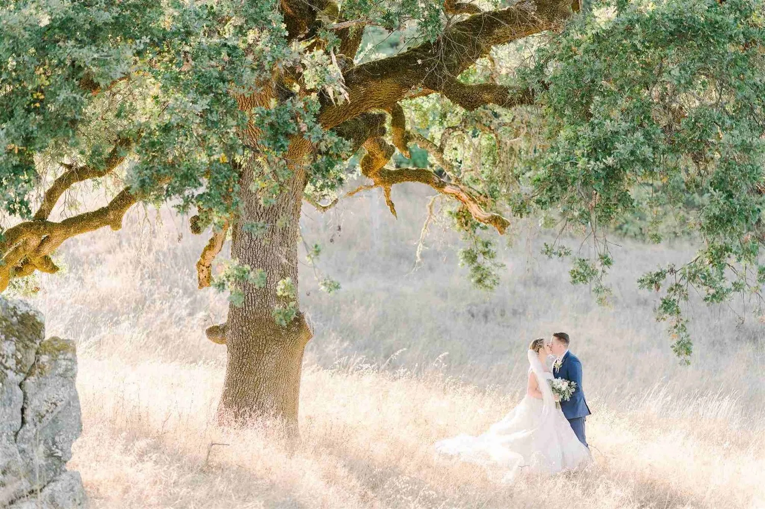 Natural Oak Tree Wedding