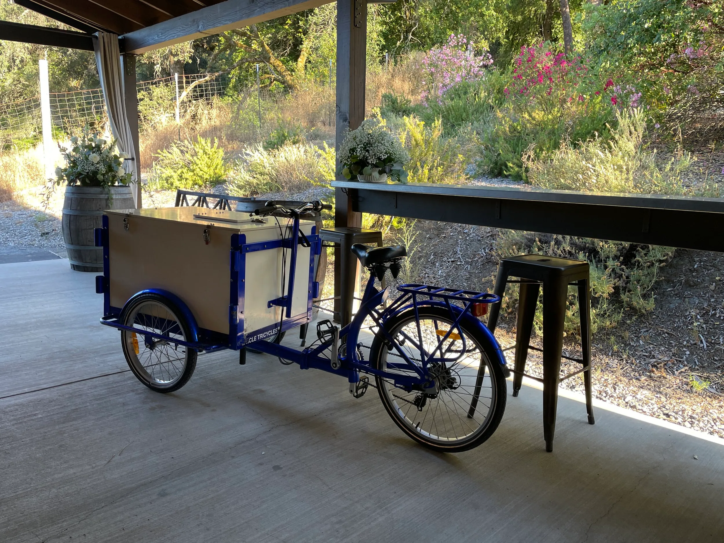 Wedding ice cream bicycle cart