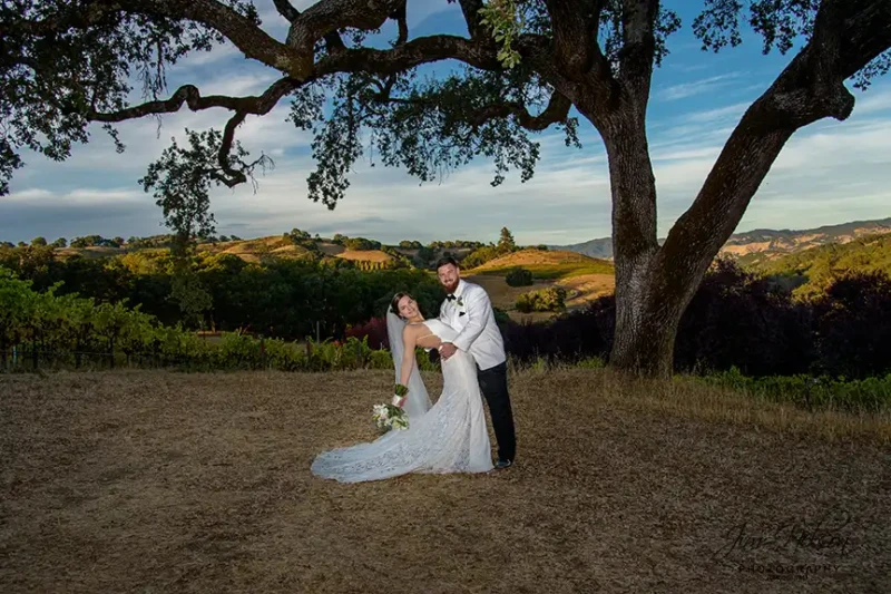 Elegant Bride and Groom