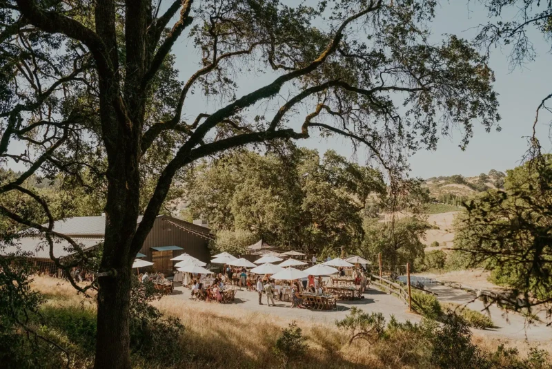 The Highlands Estate's Outdoor Wedding Venue