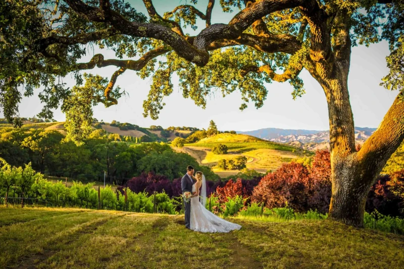 Fine art Wedding Photography