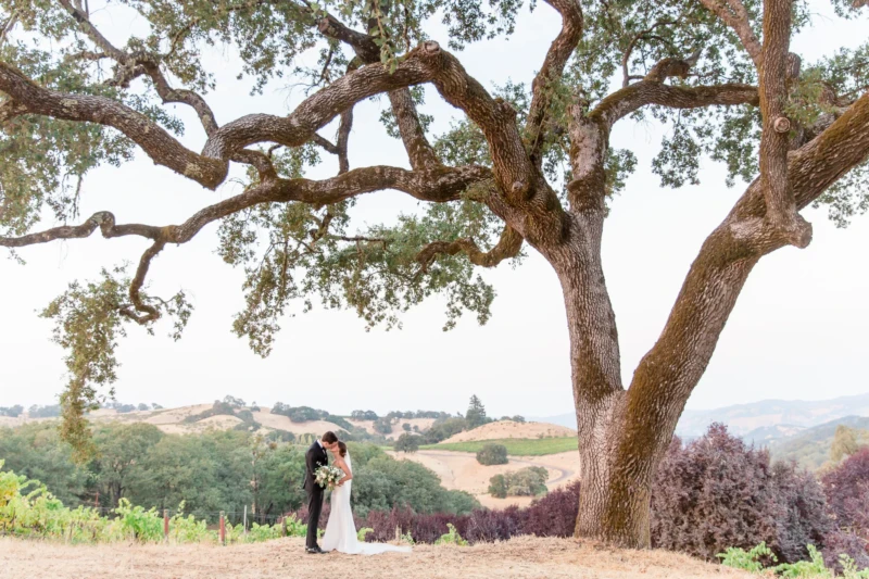 Dream Wedding Venue in California