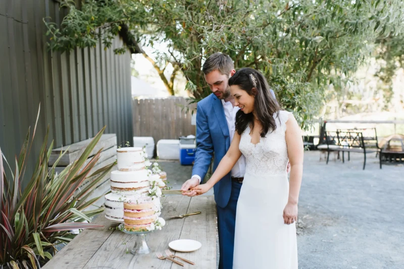 Wedding Cake Cutting Moment
