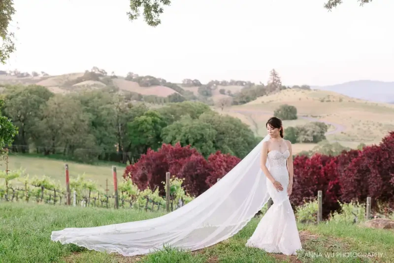 Creative Photography of Bride